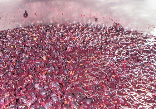 發(fā)酵消泡劑